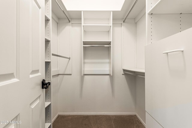 walk in closet with dark carpet