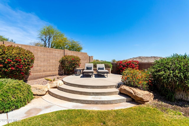 view of yard featuring a patio and a fenced backyard