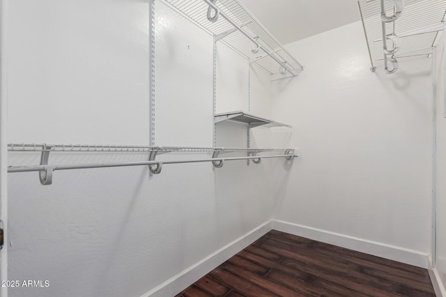 2230 N Los Alamos, Mesa, AZ 85213 - walk in closet with dark wood-type flooring