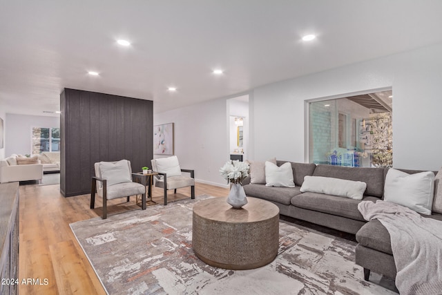 living room featuring light hardwood / wood-style flooring