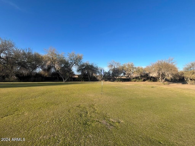 1278 W Calle Tuberia, Casa Grande, AZ 85194 - view of yard