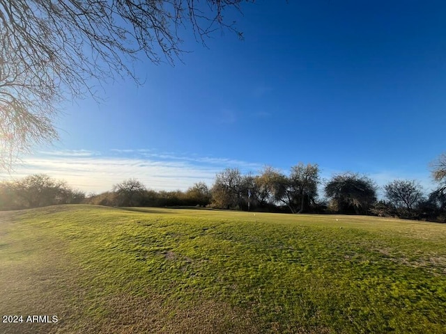 1278 W Calle Tuberia, Casa Grande, AZ 85194 - view of yard