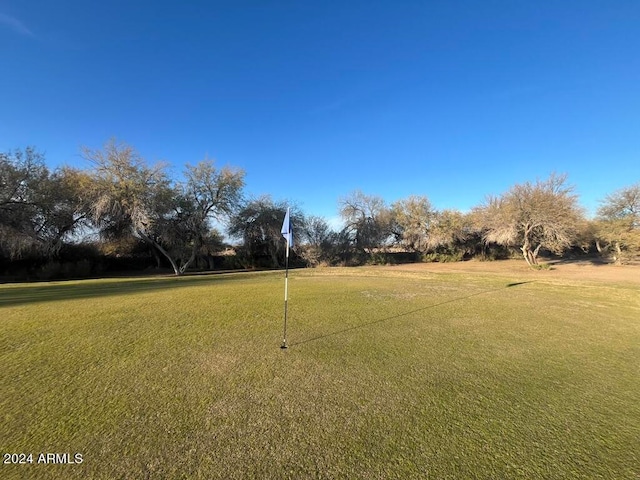 1278 W Calle Tuberia, Casa Grande, AZ 85194 - view of yard