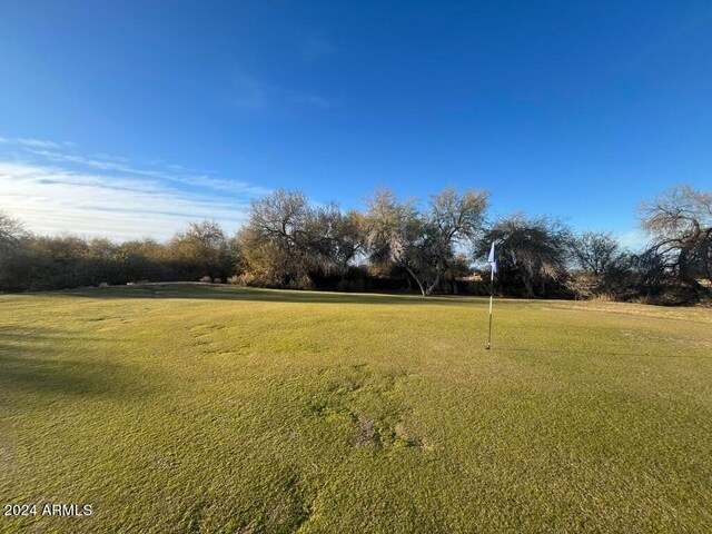 1278 W Calle Tuberia, Casa Grande, AZ 85194 - view of yard