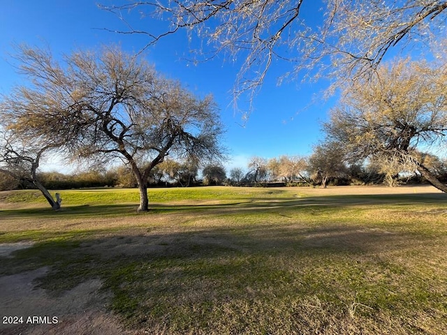 1278 W Calle Tuberia, Casa Grande, AZ 85194 - view of yard