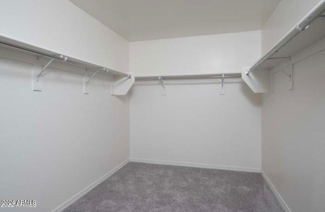 spacious closet with carpet