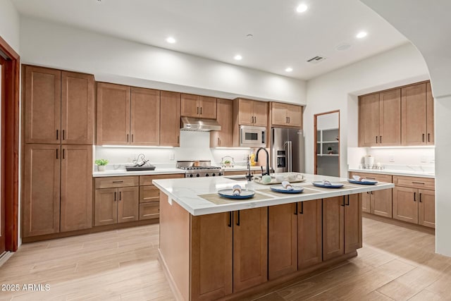 kitchen featuring sink, an island with sink, light wood-type flooring, and appliances with stainless steel finishes