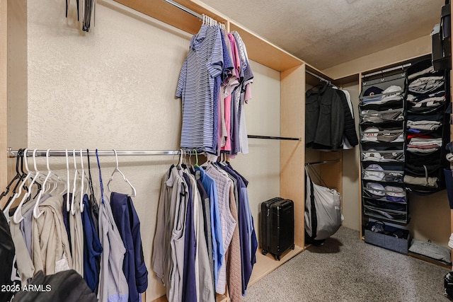 spacious closet with carpet floors