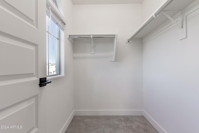 spacious closet with carpet flooring