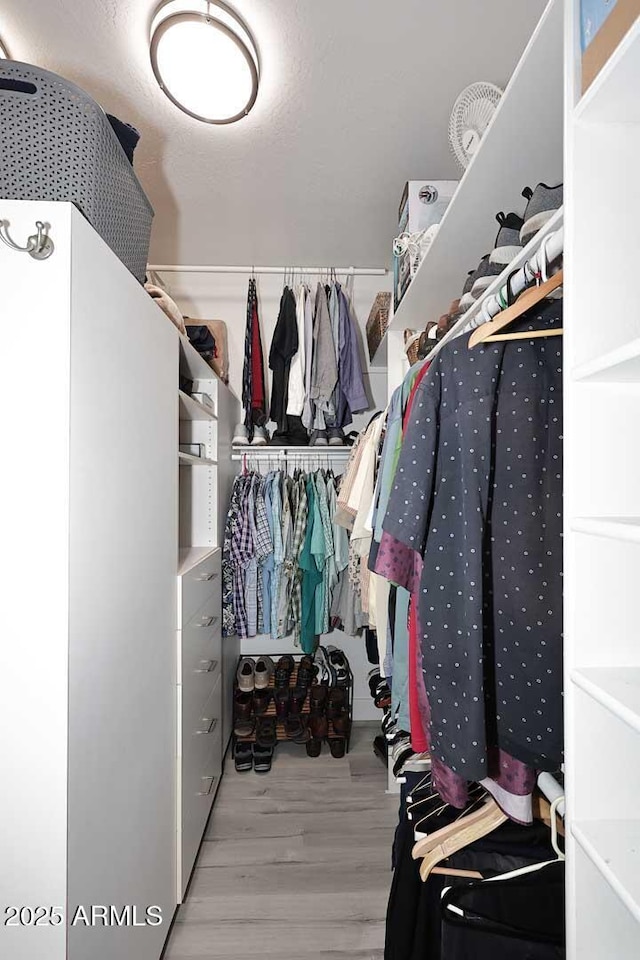 walk in closet featuring wood finished floors