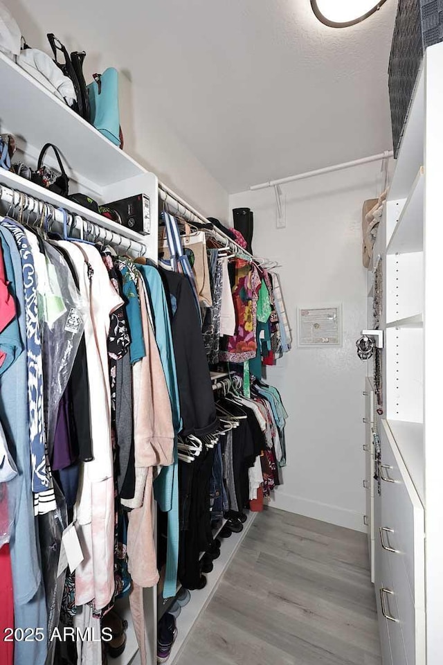 spacious closet featuring wood finished floors