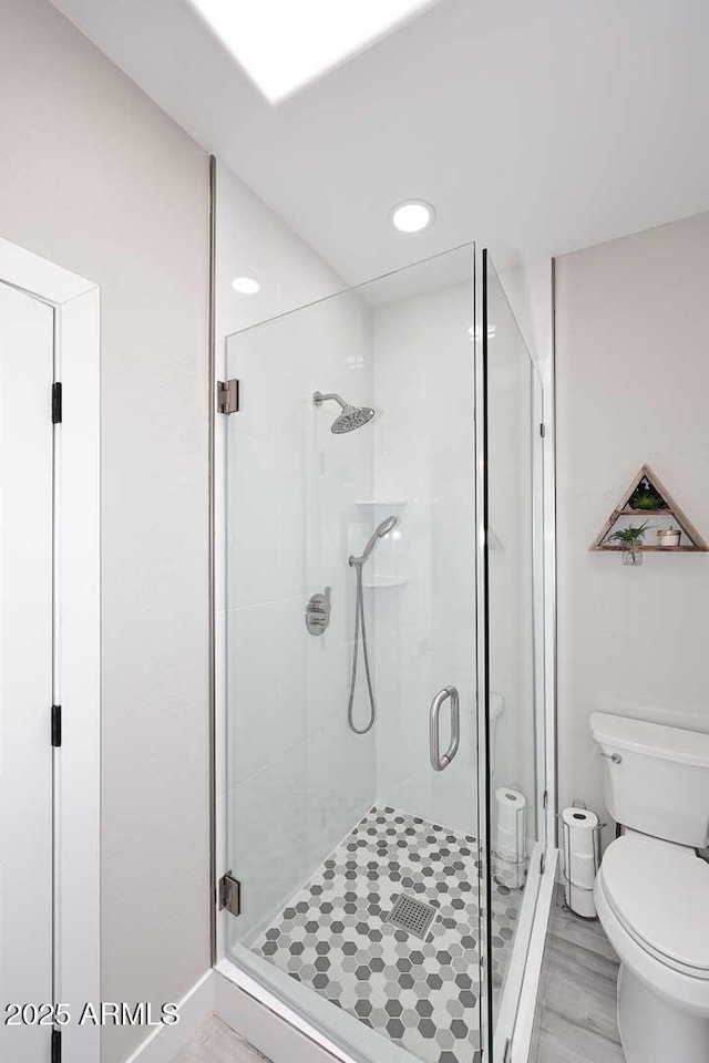 bathroom with a stall shower and toilet