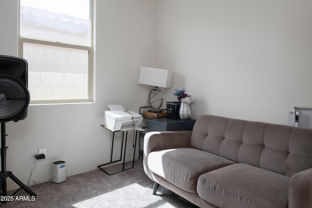 interior space with carpet flooring