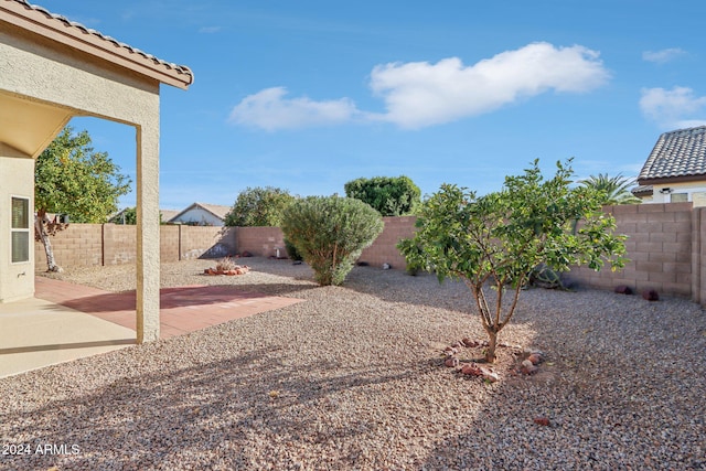 view of yard featuring a patio