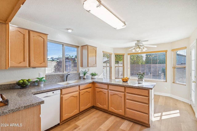 kitchen with dishwasher, light wood-type flooring, plenty of natural light, and sink