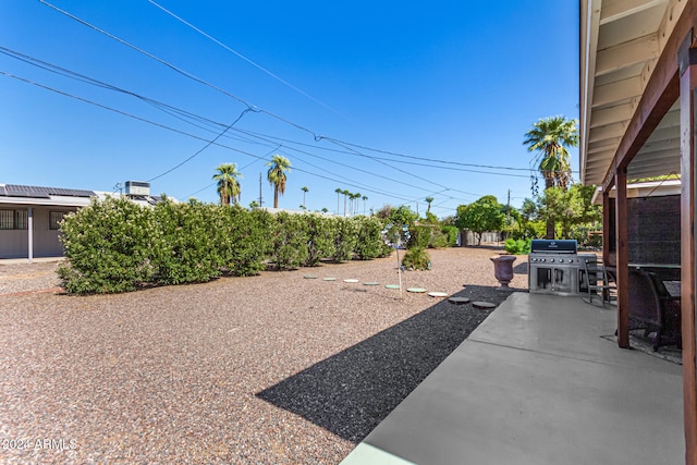 view of yard with a patio area