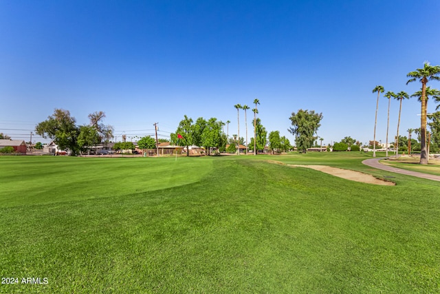 view of property's community with a lawn