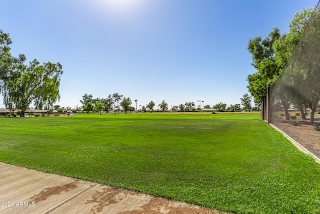 view of property's community with a yard