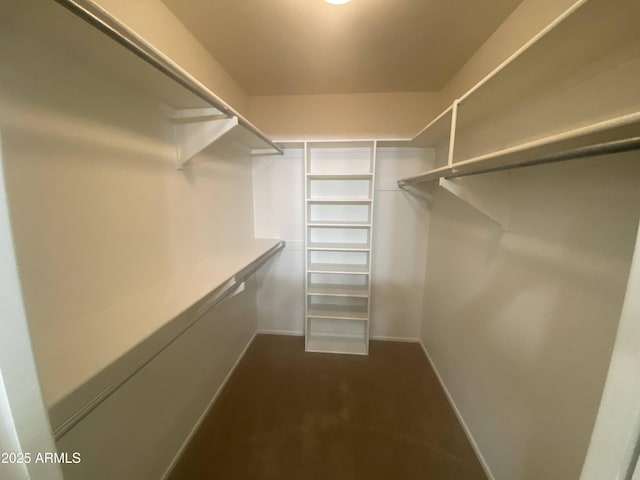 spacious closet with dark colored carpet