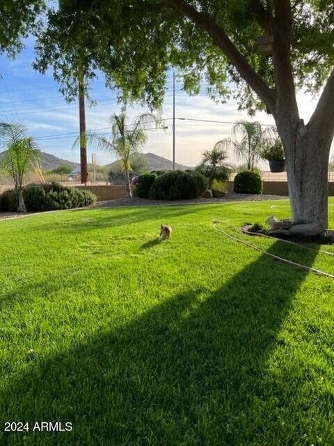 view of property's community featuring a yard