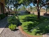 view of community with a lawn and a vegetable garden
