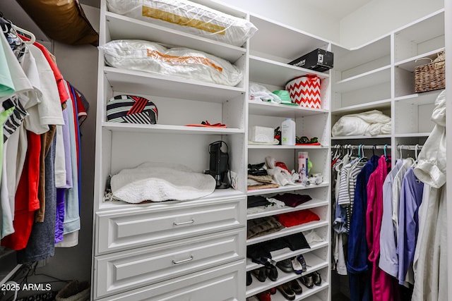 view of spacious closet