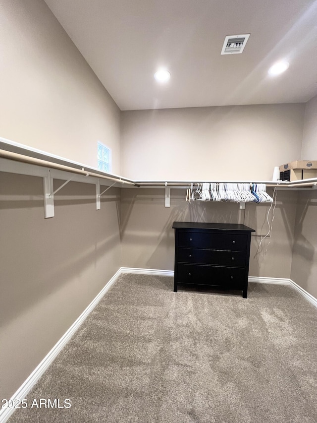 6145 E Cave Creek Rd Unit 203, Cave Creek, AZ 85331 - walk in closet with carpet