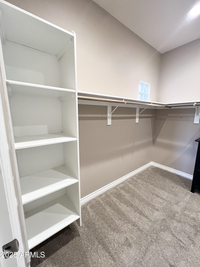 6145 E Cave Creek Rd Unit 203, Cave Creek, AZ 85331 - spacious closet featuring carpet floors