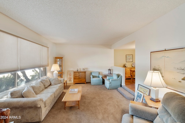 carpeted living room featuring a textured ceiling