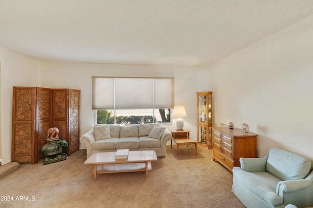 carpeted living room featuring a textured ceiling