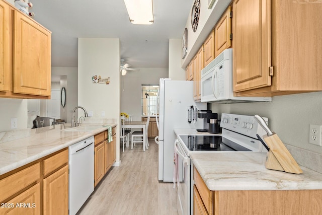 kitchen with light stone counters, a sink, light wood finished floors, white appliances, and a ceiling fan