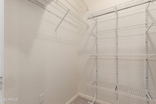 view of walk in closet