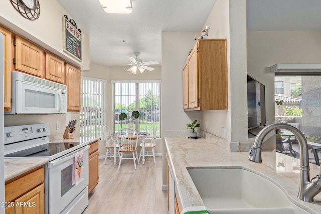 kitchen with ceiling fan, light stone counters, a sink, light wood-style floors, and white appliances