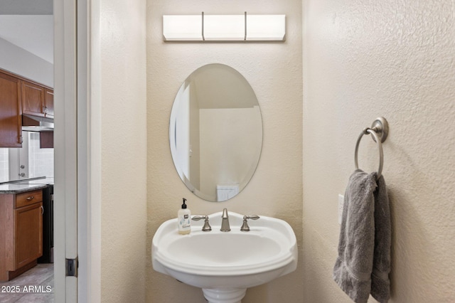 bathroom with a textured wall and a sink