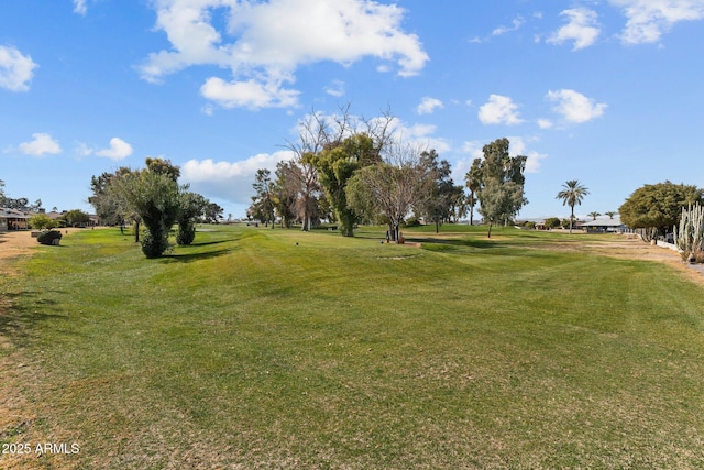 surrounding community featuring a yard