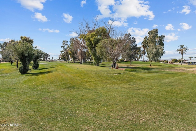 view of community featuring a yard