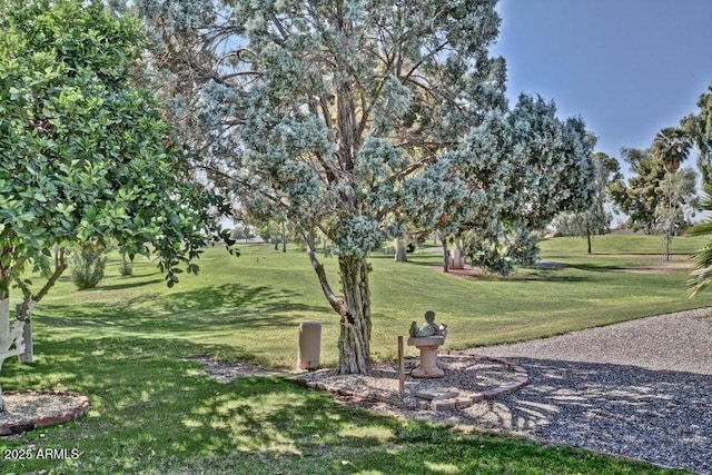 view of property's community featuring a lawn