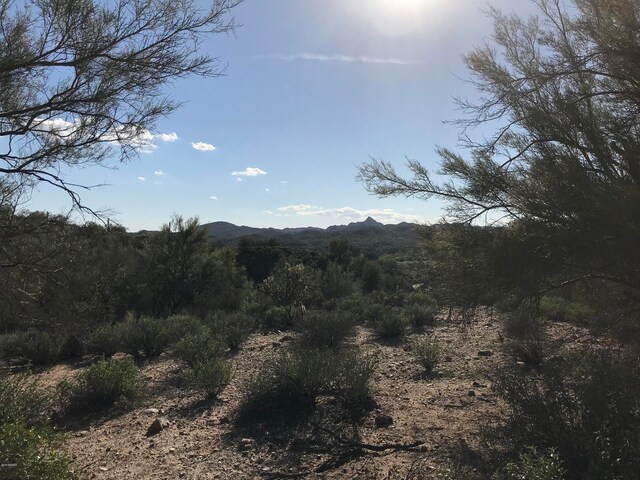 0 Mockingbird Rd Unit 0, Wickenburg, AZ 85390
