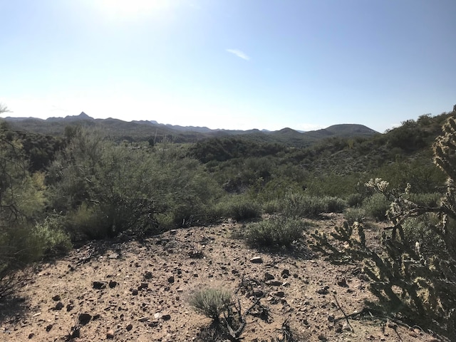 0 Mockingbird Rd Unit 0, Wickenburg, AZ 85390