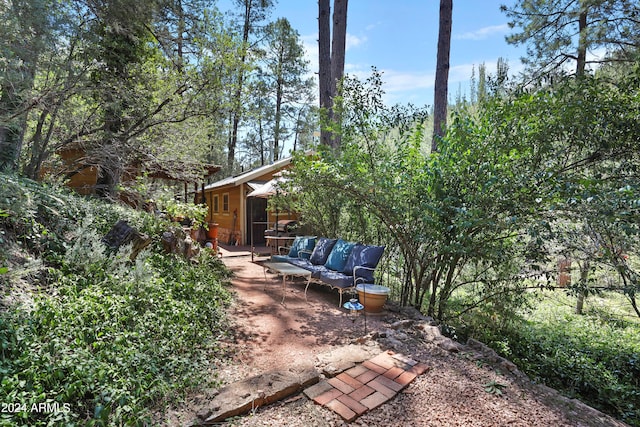 view of yard with a patio area and outdoor lounge area