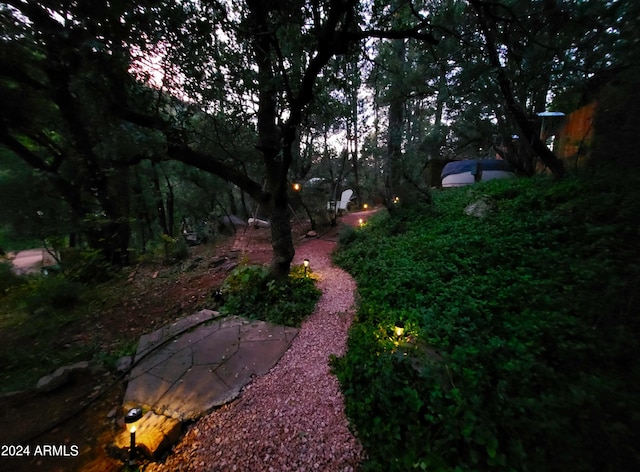 view of yard with a patio area