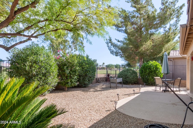 view of yard with a patio