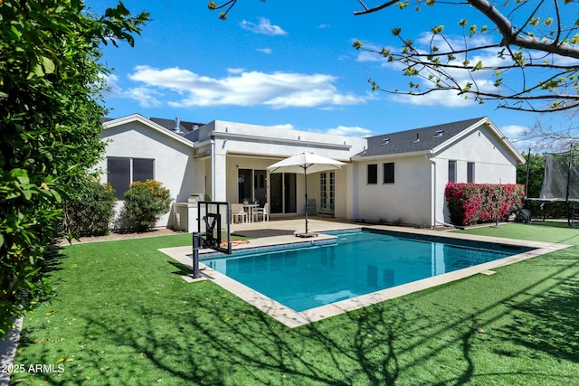 back of house featuring a patio, a trampoline, a yard, and stucco siding