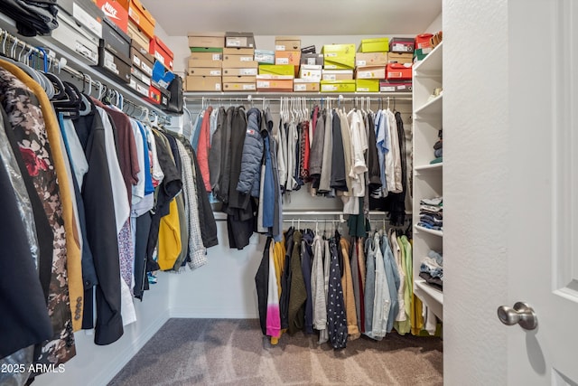 2335 W Sunland Ave, Phoenix, AZ 85041 - spacious closet featuring carpet