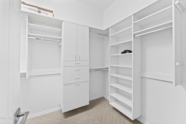 walk in closet with carpet flooring