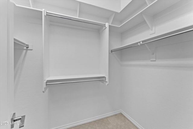 spacious closet with carpet flooring