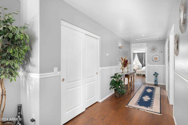 entryway featuring dark wood-type flooring