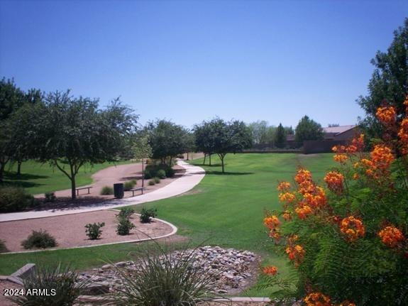 view of community featuring a lawn