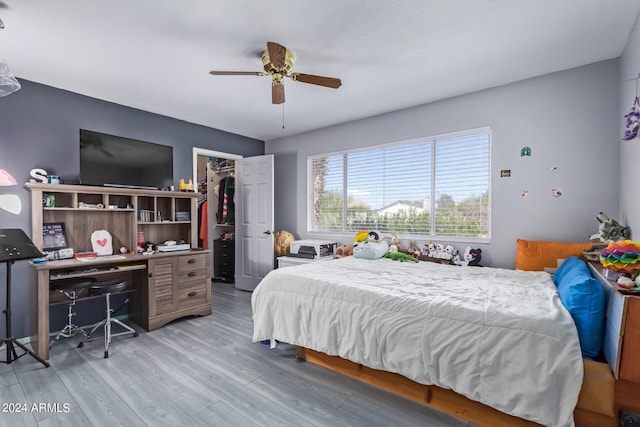 bedroom with ceiling fan, a walk in closet, a closet, and hardwood / wood-style flooring