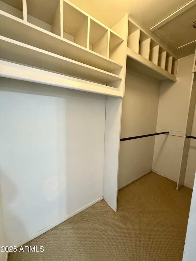 spacious closet featuring light colored carpet